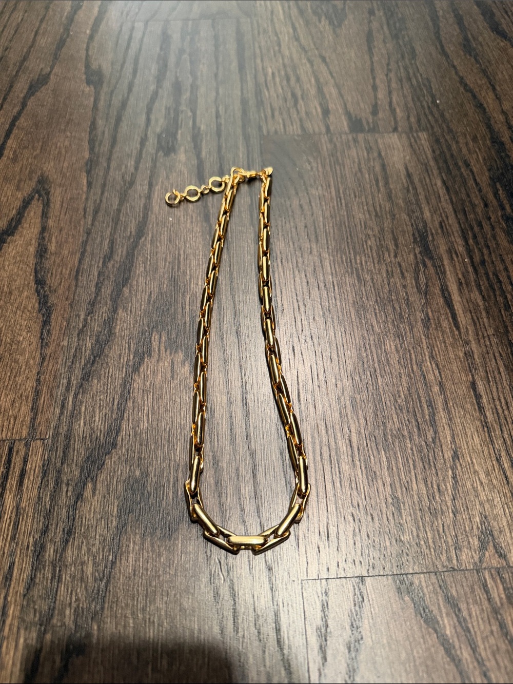 J Crew Gold Nexklace